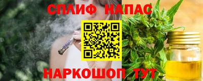 гидра Славгород