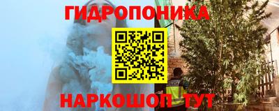 гидра Славгород
