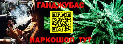 гидра Славгород