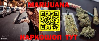 гидра Славгород