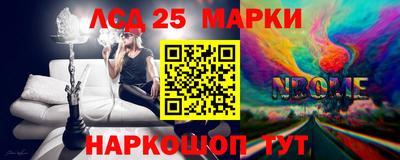 гидра Славгород