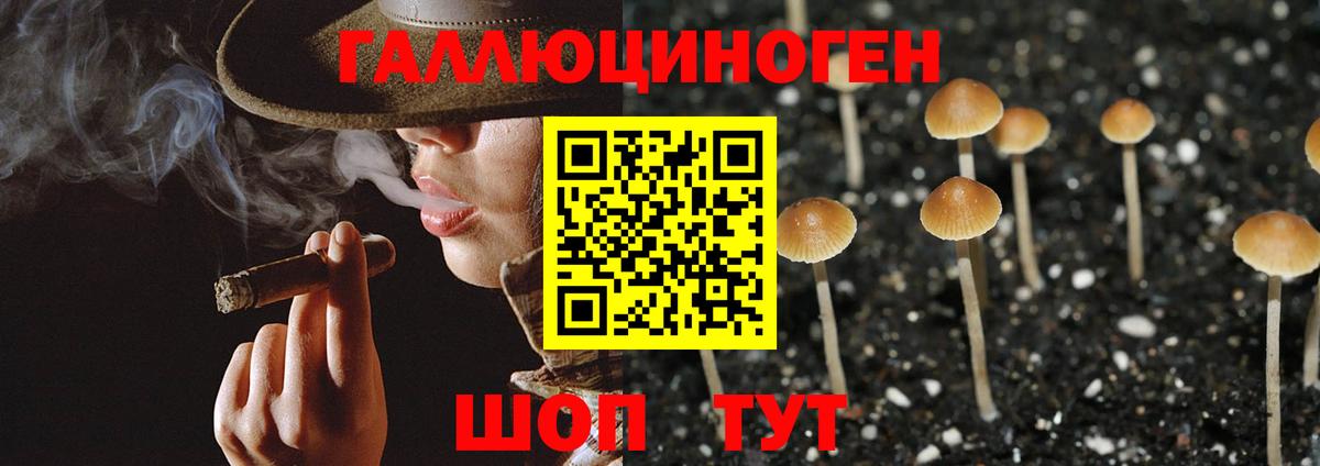 Дюртюли  Псилоцибиновые грибы MAGIC MUSHROOMS  Псилоцибиновые грибы GOLDEN TEACHER  Вход с VPN 